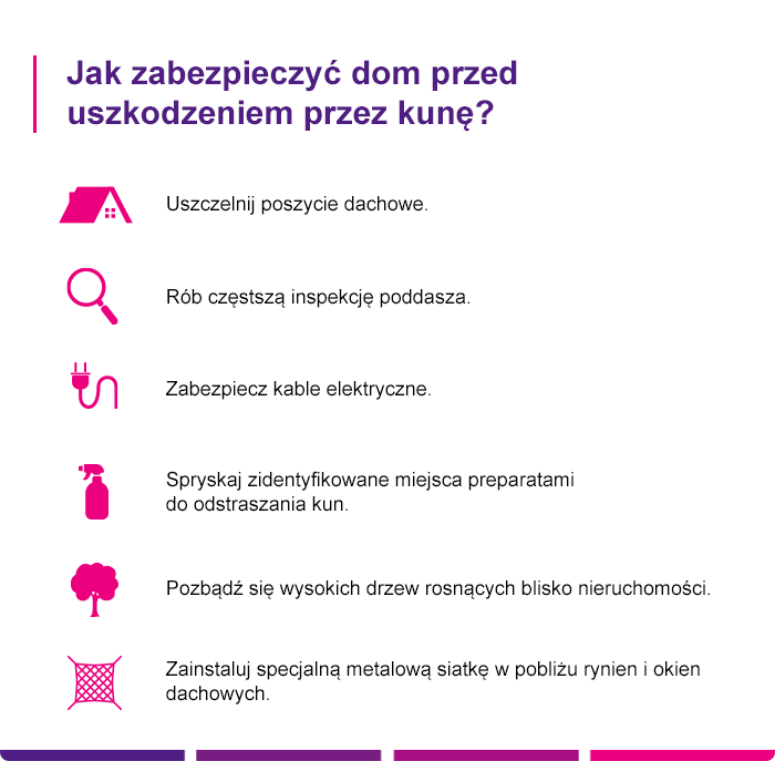 Ubezpieczenie nieruchomości od kuny - Link4.pl
